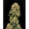 Auto Crystal Candy XL, Фасовка: 5, изображение 4