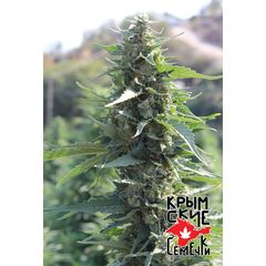 White Krim Widow, Фасовка: 3