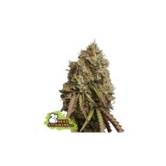 Gorilla Cookies, Фасовка: 5