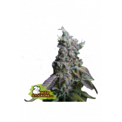Sour Diesel Auto, Фасовка: 3